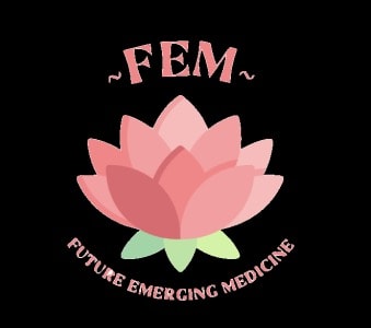 FEM. Image courtesy of AthenaHacks 2021.