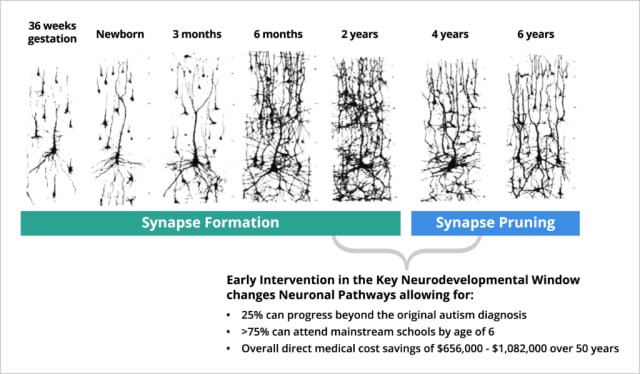 Cognoa provides opportunities for earlier treatment during the development of a child’s neural pathways. (Image courtesy of Cognoa.)