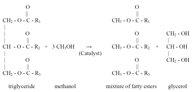 Reaction equation of the transesterification process. (Image courtesy of NREL, 2004.)