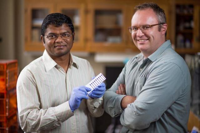 Suprem Das holds graphene electronics printed on a sheet of paper. Das and Jonathan Claussen, right, are using lasers to treat the printed graphene electronics. The process improves conductivity and enables flexible, wearable and low-cost electronics. (Image courtesy of Christoper Gannon/Iowa State University.)