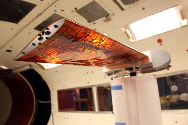In the team's new approach, the whole shape of the wing can be changed, and twisted uniformly along its length, by activating two small motors that apply a twisting pressure to each wingtip. (Image courtesy of Kenneth Cheung/NASA.)