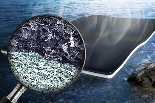 A bilayer biofoam sheet placed on water efficiently uses sunlight to create purified steam. (Image courtesy of Washington University.)