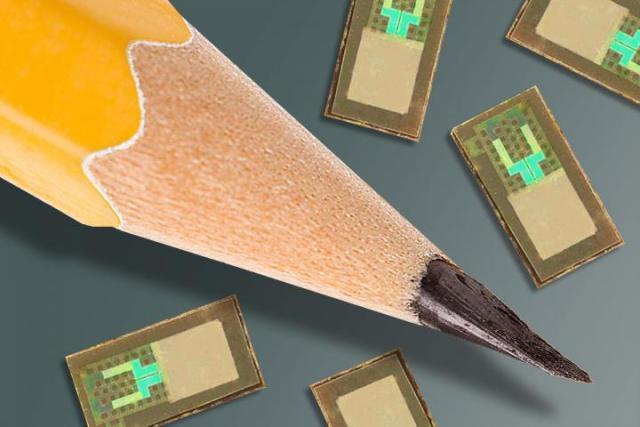 The wireless, dissolvable brain sensors are smaller than the tip of a pencil. (Image courtesy of Washington University School of Medicine.)