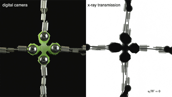 A soft cross-shaped sample of elastomeric material that, due to the tension instability, undergoes a sudden elongation at the center when biaxially stretched. (Image courtesy of Johannes T.B. Overvelde/Harvard SEAS.)