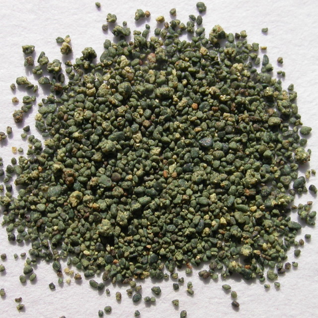 Glauconite minerals from a deposit in Ohio. The formation of the mineral glauconite occurs in anoxic marine environments and is often found in coastal areas. (Image courtesy of James Cheschire.)