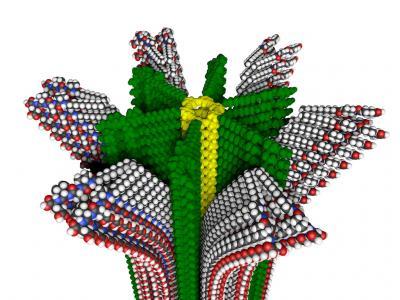 The new hybrid polymer with removable supramolecular compartments. (Image courtesy of Northwestern University.)