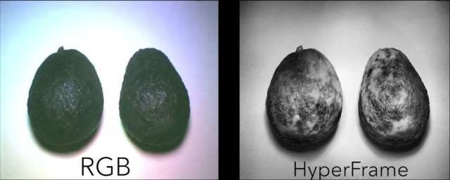 Images taken with HyperCam predicted the relative ripeness of 10 different fruits with 94 percent accuracy, compared with only 62 percent for a typical (RGB) camera. (Image courtesy University of Washington.)
