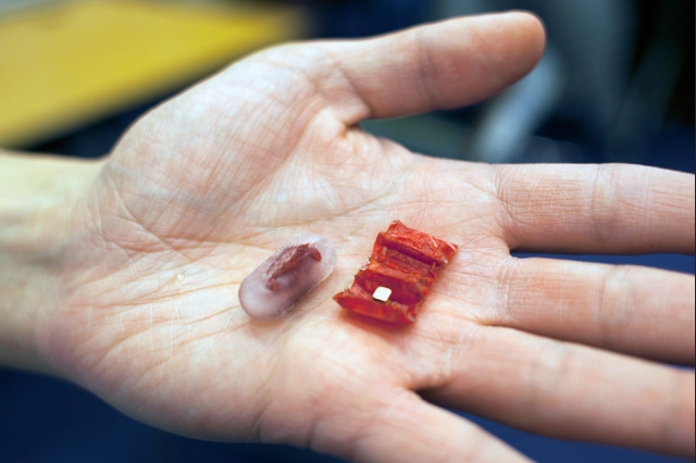 (Image courtesy of MIT.)