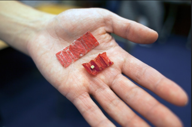 New Horizons For Origami Robots Inside The Human Body