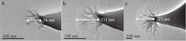 These TEM images illustrate the progression of the tree-like structures after 18, 21, and 27 minutes respectively. (Image courtesy of Kurt Terhune.)
