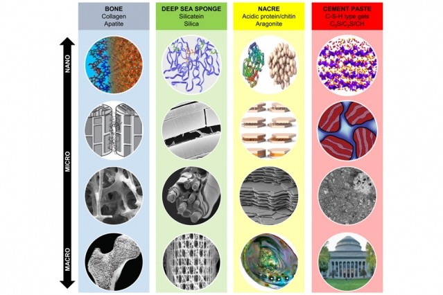 Developing Smarter Concrete with Biomaterials > ENGINEERING.com