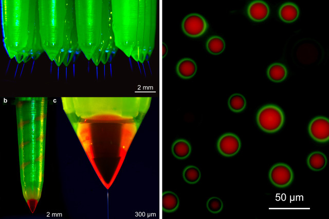 The new emitters are a variant on the hollow 3-D-printed design. But instead of having a single opening at its tip, each emitter has two openings — a hole and a concentric ring. The openings are fed by separate microfluidic channels. If the viscosity and electrical conductivity of the fluids fed through the channels, the strength of the electric field that draws them up, and the length and diameter of the channels are precisely calibrated, the emitters will produce tiny spheres in which the material drawn through the outer ring encases the material drawn through the center hole. (Image courtesy of MIT.)