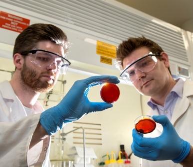 Flinders student Max Worthington and Dr. Justin Chalker with the new polymer, which sucks mercury out of water. (Image courtesy of Flinders University.)