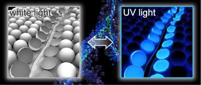 Colorless, non-fluorescent microcapsules use a type of fluorescence called aggregation-induced emission (AIE), which becomes brighter as the indicator solidifies from solution and is visible under ultraviolet (UV) light. (Image courtesy of AMS Group/Beckman Institute for Advanced Science and Technology/University of Illinois.)