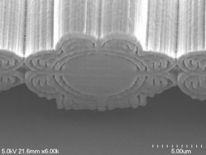 The 3D print of the optimized flower structure is only 15 µm in dimension. A human hair is about three times as thick. (Image courtesy of Bill Hsiung/Universtiy of Akron.)
