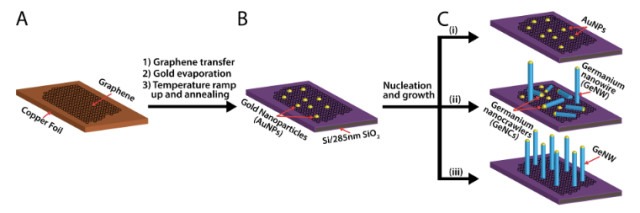 An illustration of the process used to grow the nanowires and nanoparticles. The fraction of vertical nanowires to horizontal nanocrawlers (C) is controlled with hydrogen chloride gas: (i) HCl supplied through entire growth, (ii) HCl introduced after a 15 s delay during nucleation, (iii) No HCl. (Image courtesy of Nano Letters).
