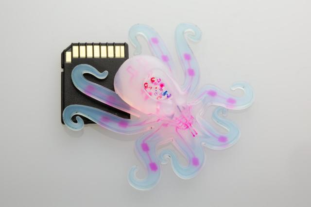 A reaction inside the bot transforms a small amount of liquid fuel (hydrogen peroxide) into a large amount of gas, which flows into the octobot's arms and inflates them like a balloon. The team used a microfluidic logic circuit, a soft analog of a simple electronic oscillator, to control when hydrogen peroxide decomposes to gas in the octobot. (Image courtesy of Lori Sanders.)