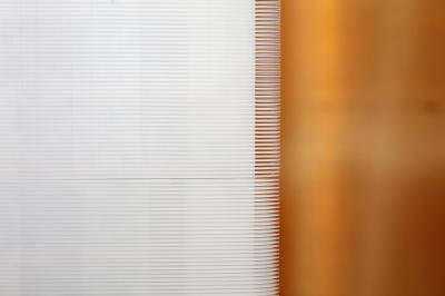 Streamwise-oriented 'finlets' are installed on a wing or blade trailing-edge to reduce trailing-edge noise by up to 10dB without substantial changes to the aerodynamic performance and over a range of angles of attack. (Image courtesy of Nathan Alexander.)