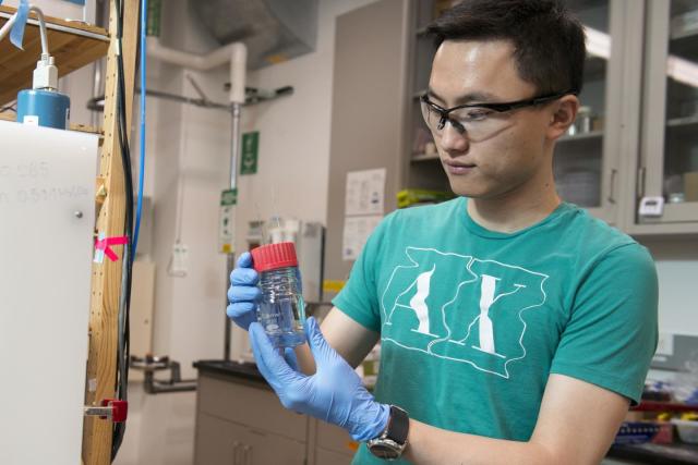 Haotian Wang and his Stanford colleagues developed a new way to fine-tune platinum catalysts in fuel cells and other clean-energy technologies. (Image courtesy of L.A. Cicero/Stanford News Service.)