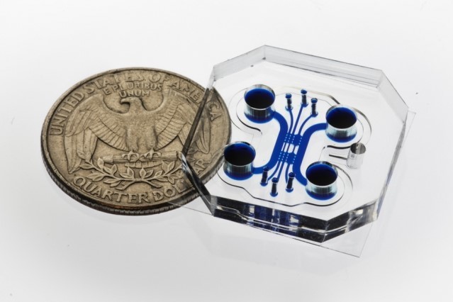 The microfluidic chip isn’t much bigger than a quarter, yet shows a lot of promise for the treatment of neuromuscular disorders. (Image courtesy of Sebastien Uzel.)