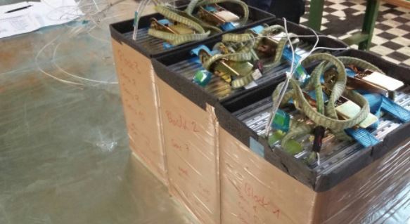 Kokam Ultra High Power NMC Batteries