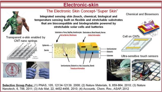 Project details courtesy of Stanford University/Bao Research Group.