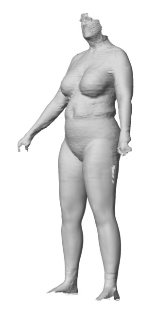 An imperfect scan. (Image courtesy of Body Labs.)