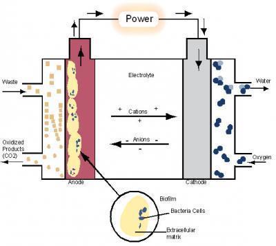 Schematic of an MFC. (Image courtesy of Janelle Curtis, Biodesign Institute at Arizona State University)