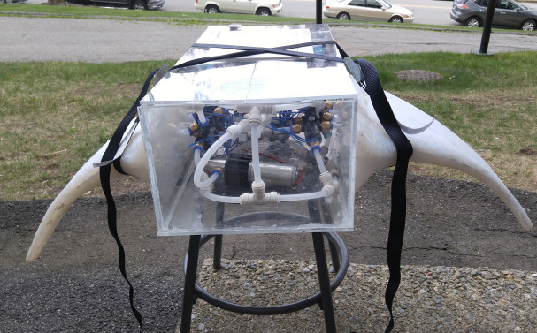 Figure 5. Franzini’s team of WPI students tested the “wings” on dry land. They achieved complex wing bending motions using a low-power combination of a pump, valves and an MSP 540 microcontroller. (Image courtesy of Gabrielle Franzini.)