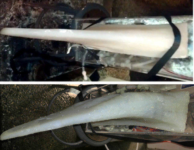 Figure 6. Wing flex in normal operation is approximately 35 degrees. Flexing is caused by water flowing into elastomeric chambers in the upper and lower half of the wing. Water was a natural choice of hydraulic fluid for an environmentally friendly robotoperating in an aquatic environment. (Image courtesy of Gabrielle Franzini.)