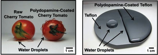 (Image courtesy of Advanced Materials.)