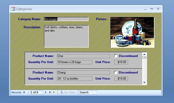 Transparent Form Background Microsoft Access Modules Vba