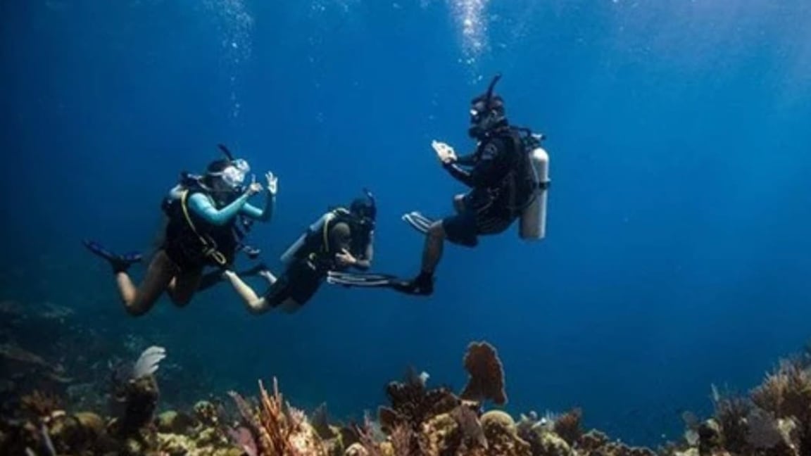 Discover Scuba Diving (Try Dive) image