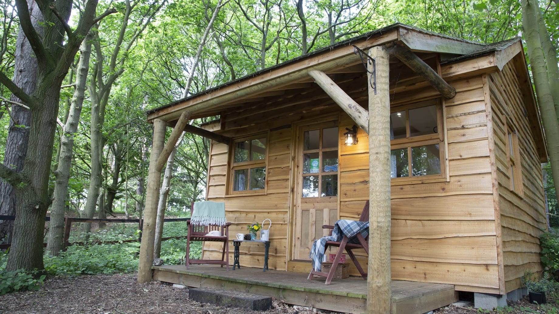 Stay in Cedar Lodgeimage