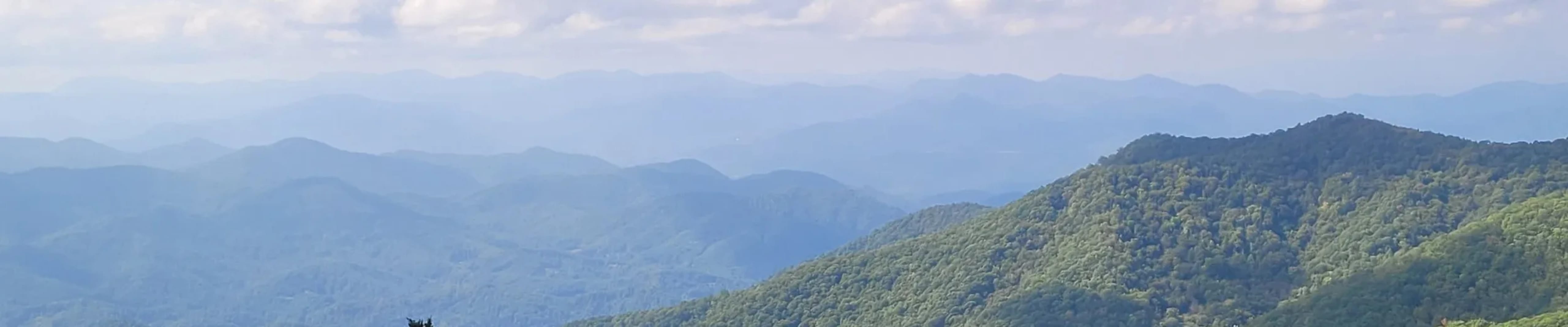 Townsend River Breeze Inn banner image