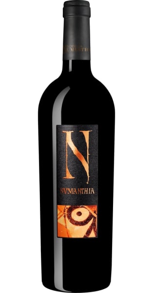 Numanthia Toro 2020 75cl 15% - A93561.jpg