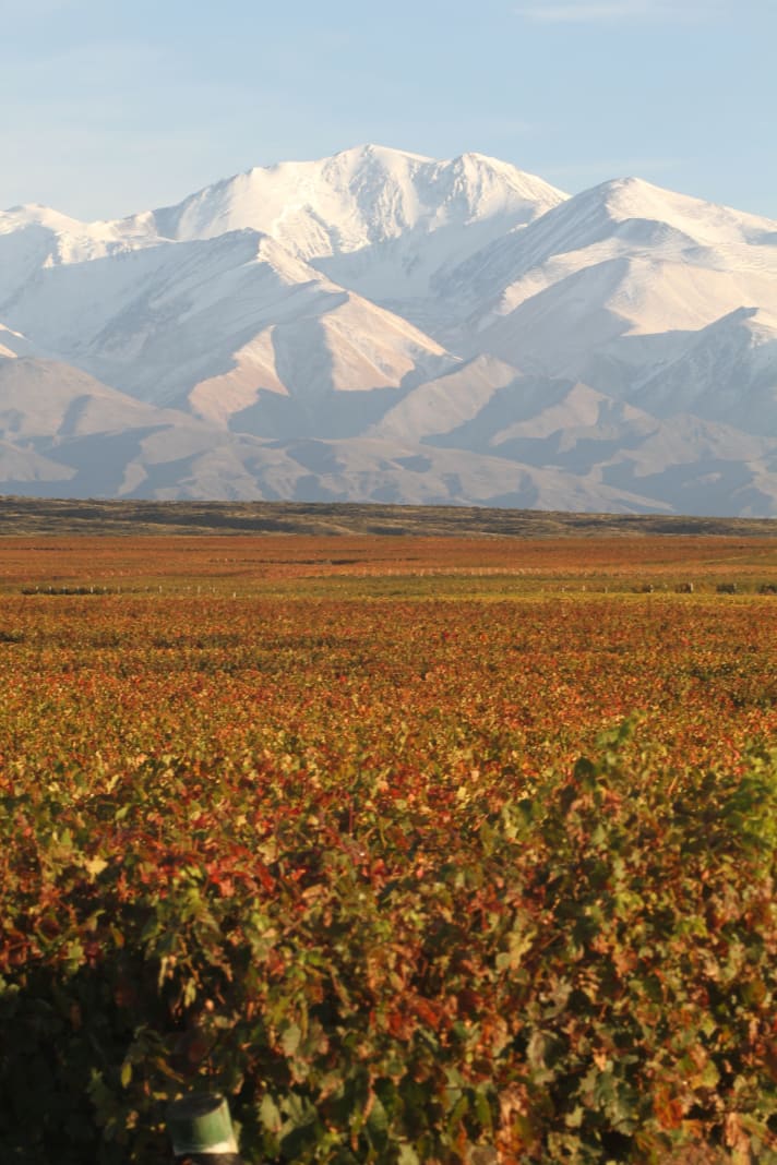 Gualta Norte - Producer Profile Susana Balbo