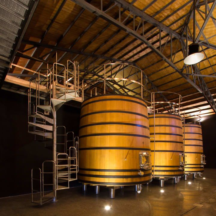wooden foudres in the winery