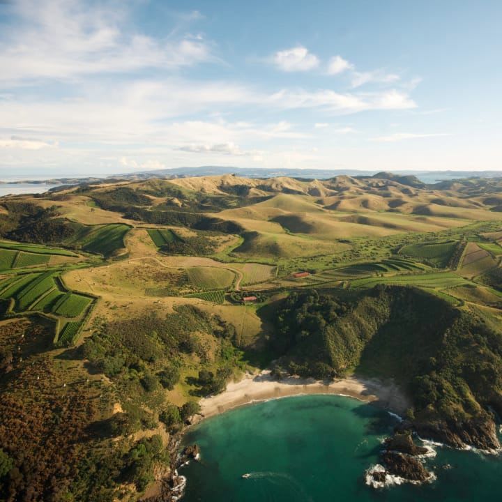 Man O' War Bay. Waiheke