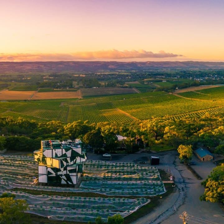 aerial view of d'Arenberg cube amidst vines