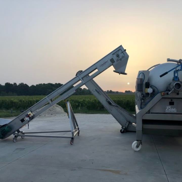grapes going in the press
