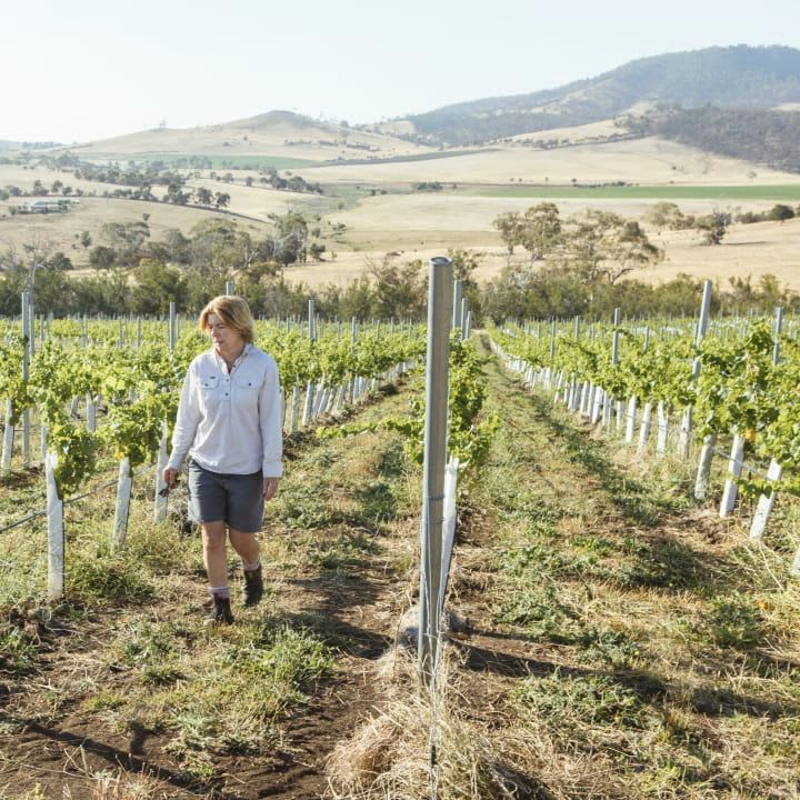 Samantha Connew in vineyards at Stargazer