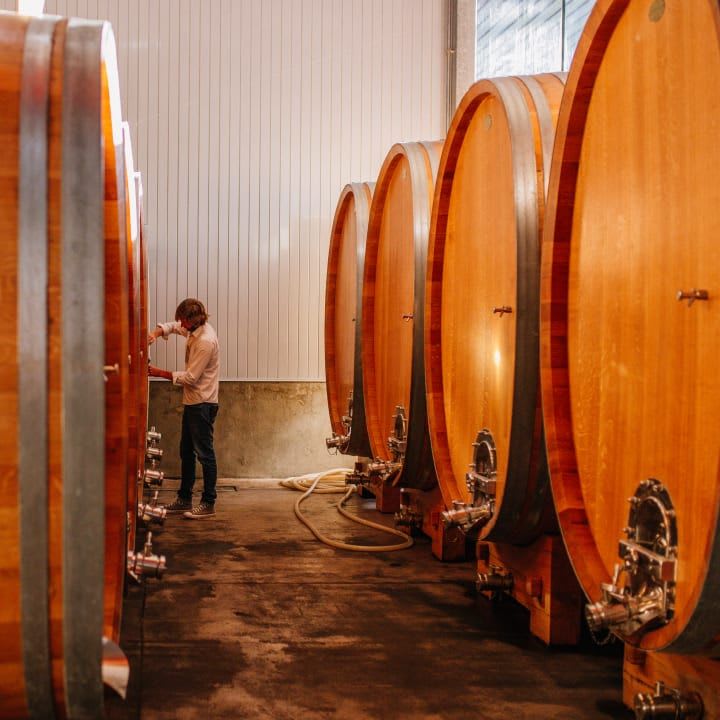 foudres in the cellar