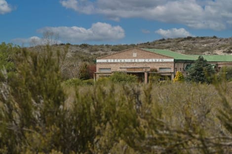 Introducing Bodegas Ribera del Cuarzo