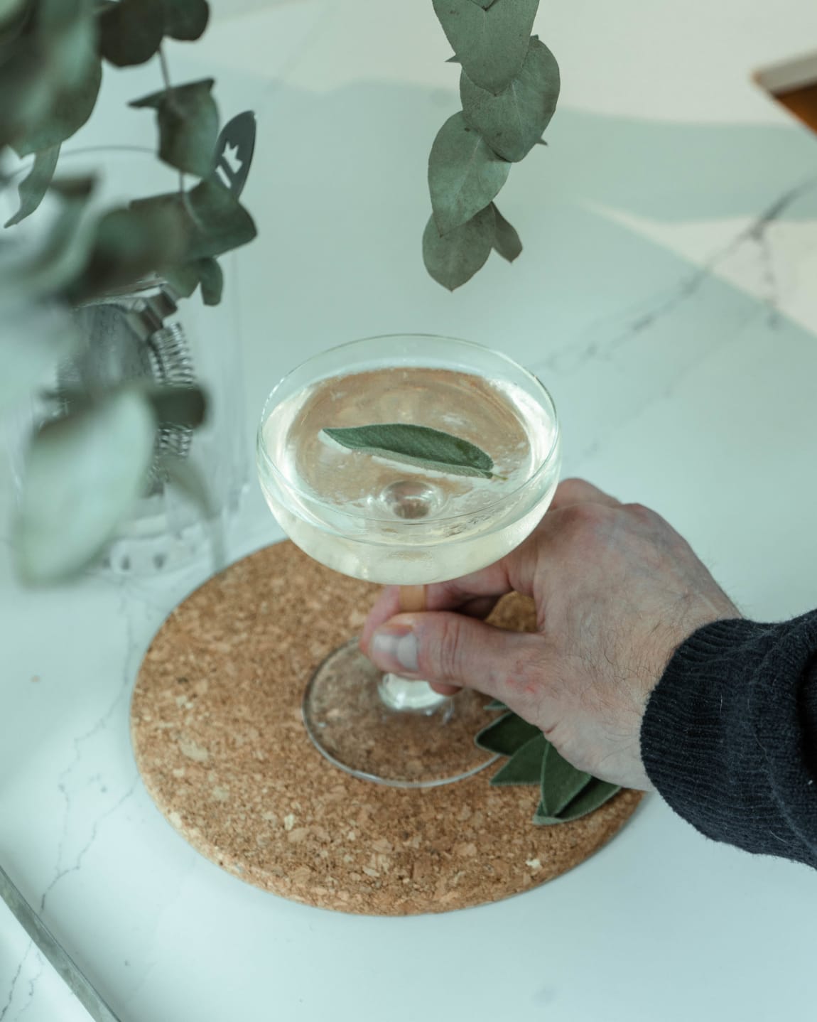 Dirty Martini with sage in it