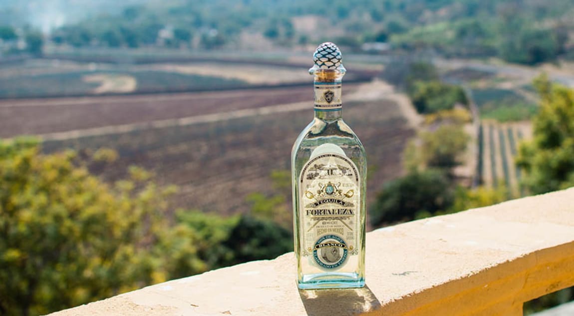 Fortaleza Blanco Tequila