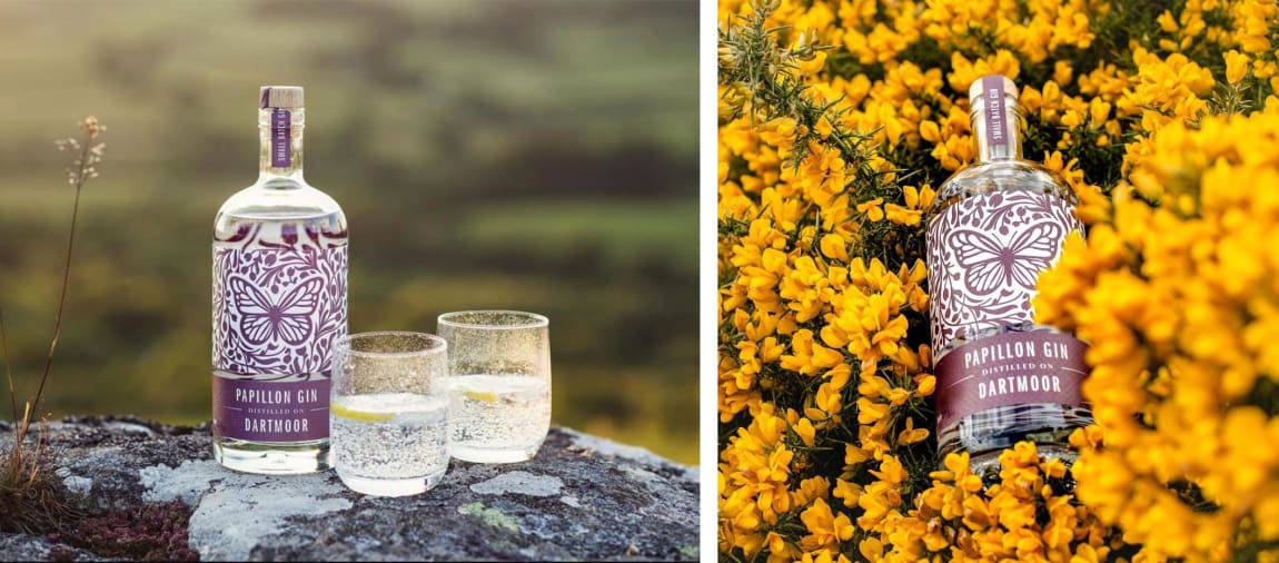 Papillon Gin Banner