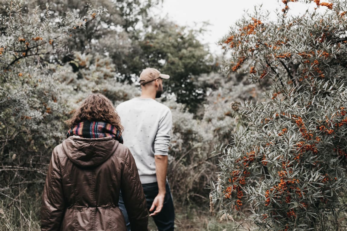 Foraging for Sea-Buckthorn