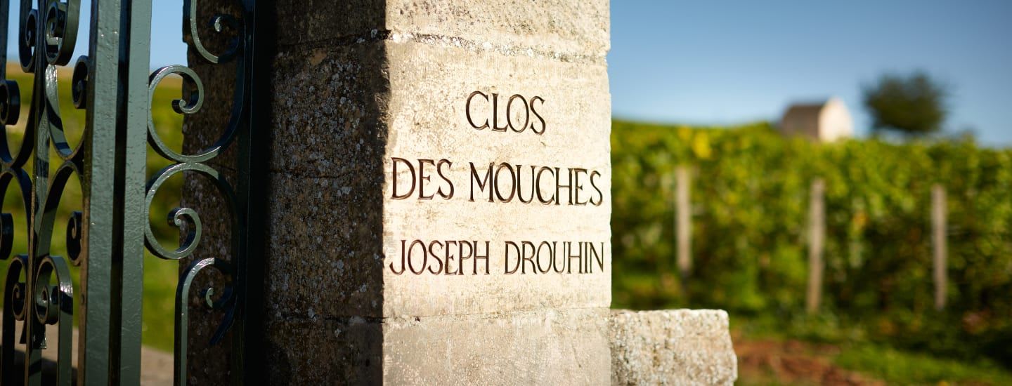 Clos Des Mouches vineyard gatepost