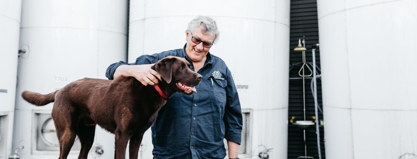 Rob Dolan with Chocolate Labrador in winery